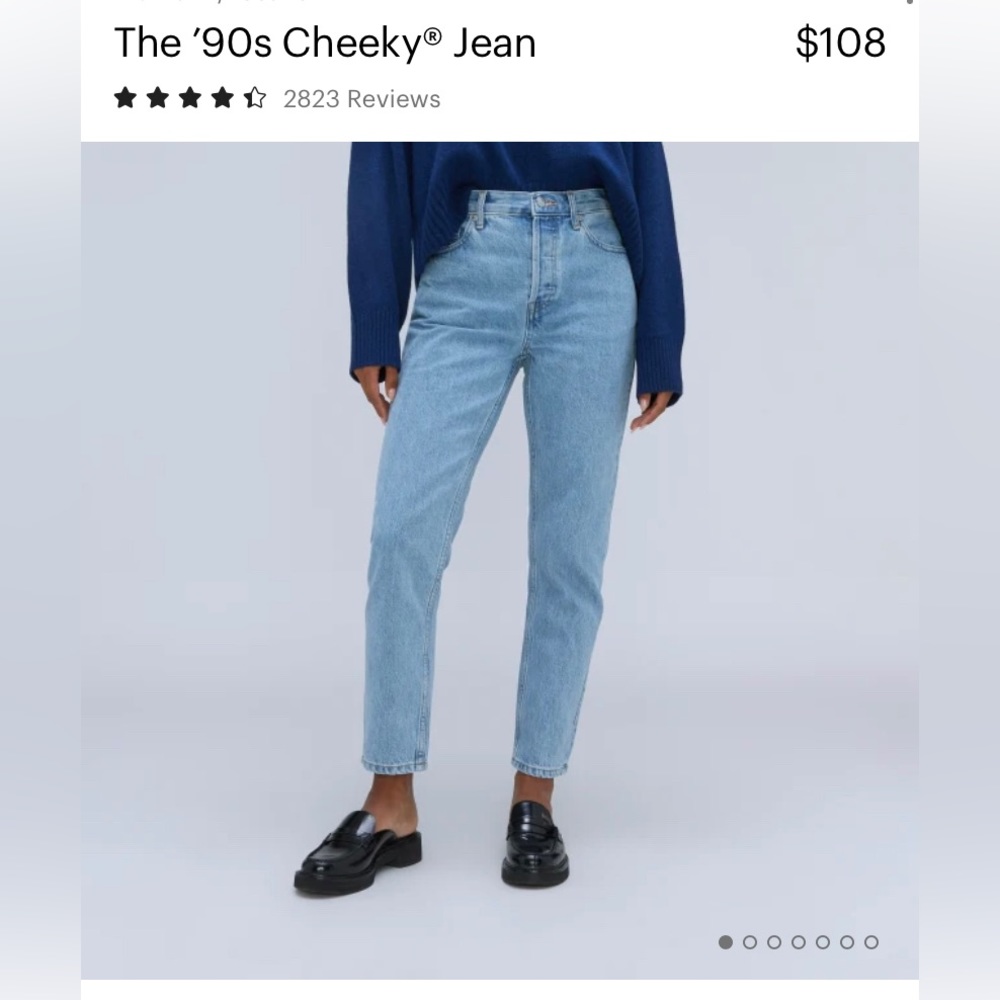 Everlane 90s Cheeky High Rise jean 30 ankle NWT